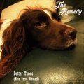 The Remedy - Better Times (Are Just Ahead)