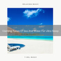 Nature Music Nature Songs、The Forest Escape - Sounds Of Weather And Water For Perfect Dreams