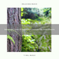 Advanced Tunes Of Nature And Animals For Good Dreams