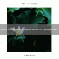 Nature Music Nature Songs、The Forest Escape - Sleepy Vibes Of Nature And Water For Ultra Deep Sleep