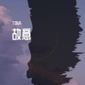 TINA - 故意