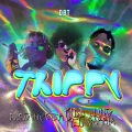 Trippy Level (feat. Yung Sarria & Elegvngster)(Explicit)