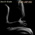 Raven Studio、David Blade、Soulfyah Productions