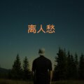 V妹 - 影子小姐