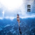 V妹 - 泼墨一生