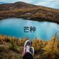V妹 - 最美的伤口