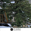 骚东 - 讲不出再见
