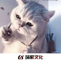 KS彬仔 - 强劲越南鼓 (彬仔Remix)
