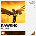 Rawkng - Pujan (ExtendedMix)