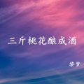 宫一柯 - 三斤桃花酿成酒