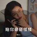 野马V - Bandida