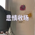 野猫传奇 - 定镜