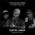 Struggling (feat. R-Swift & Loso)(Remix)