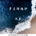 沈若 - 岁月弹指沙 (伴奏)
