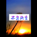 枯花 (艺术版)