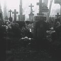TheDeadRoze、IanPlug、Tyler Gilham - BANDS UP (Explicit)