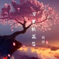 桃梓 - 万里桃花落