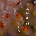 长安又落花