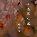 晓星沉 - 长安又落花