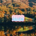 呆妹儿 - 昨夜星辰 (DJ版)