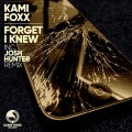 Kami Foxx - Forget I Knew (JoshHunterRemix)
