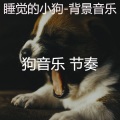 狗音乐 节奏 - 狗午睡