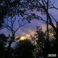 Millizent Salazar、millie - 3150 (Demo)