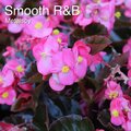 Anthony Torres、Metalspy - Smooth R&B