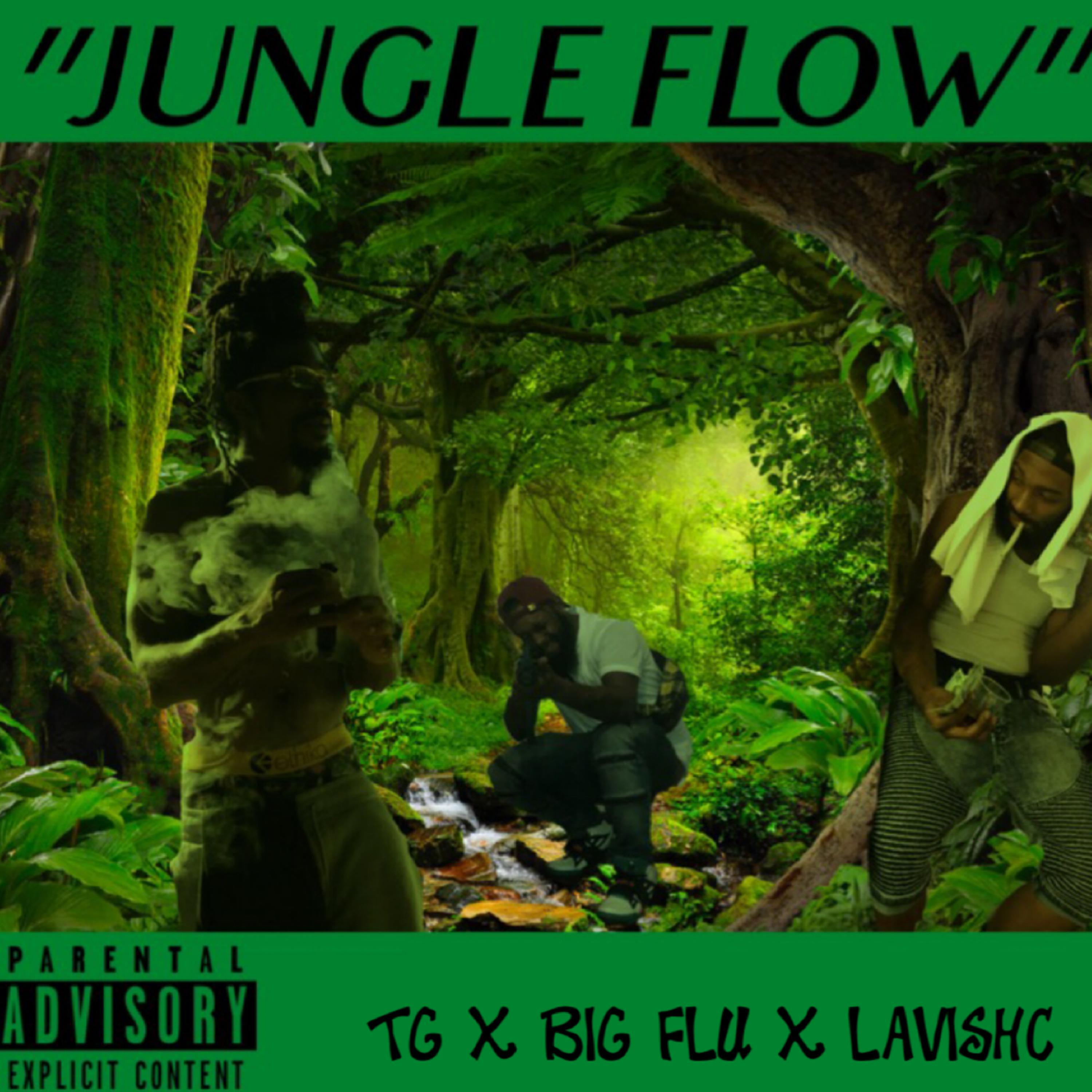 LavishC、Big Flu、Da Kulture、TG - Jungle Flow ((Remix)(Explicit))