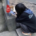 辰先生CHENYIN、朵爷、圈妹、小奶瓶 - 摇滚唐人街
