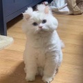 忆流莺 - 窗外的光