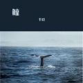 千幻 - 鲸