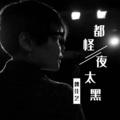 魏佳艺 - 都怪夜太黑