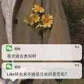 失Sweet、野菜 - 未来式情歌