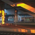 张新宇 - 卡路里