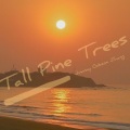 Jimmy Gibson Zhang - tall pine trees