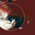南洵 - 易容术