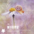 木心 - 蜗牛的愿望