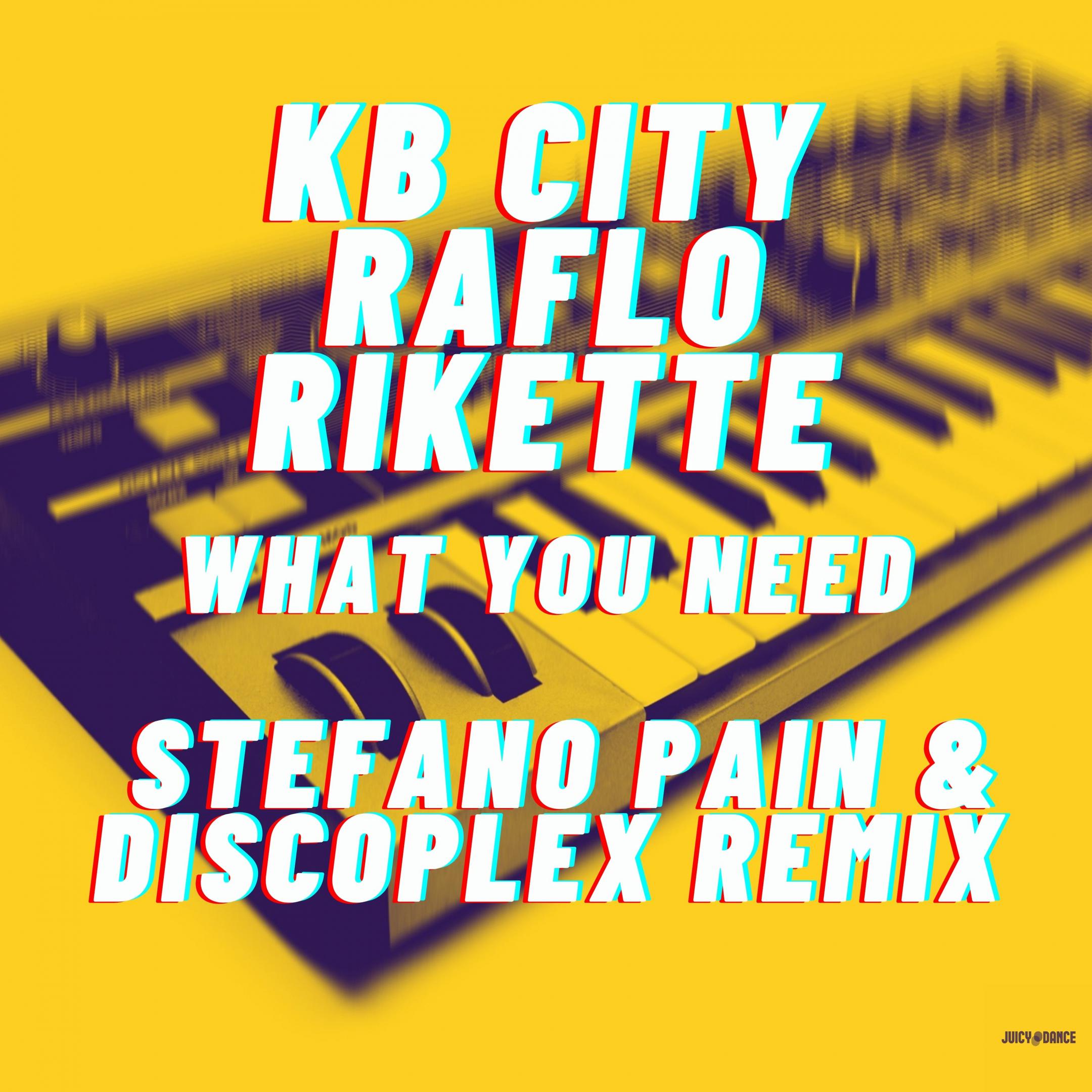 Rikette、Discoplex、Raflo、KB City、Stefano Pain - What you need (Stefano Pain, Discoplex Remix)