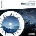 Moonlit Sky