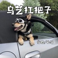 夭泽、夜临 - Love story