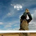 王爱 - 骏马谣