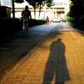 翟宇哲 - 姬和不如