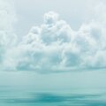 # 1 Sonidos de la Naturaleza | Spa