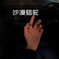糖妹 - 逃爱