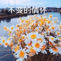 王梓 - 出现又离开 (DJ火山版)
