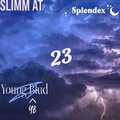 Young Blud (YB)、Splendex、Slimm AT、Andrew Oedel - 23 (Explicit)
