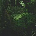 Relajar、Relajante Academia de Música Zen、Piano Relajante - Aventuras Mentales