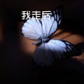 苍白 - 嚣张