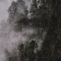 Canciones Para Niños、Musica Para Dormir Profundamente、Relajar - Aventuras Mentales